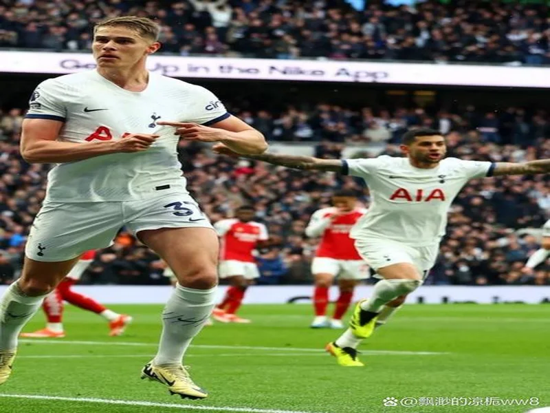 本场送助攻，范德芬当选热刺1-1桑德兰球迷票选全场最佳